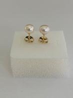 Parel Oorbellen Akoya Parels 6mm 14K Goud Minimalistisch, Sieraden, Tassen en Uiterlijk, Oorbellen, Wit, Nieuw, Ophalen of Verzenden