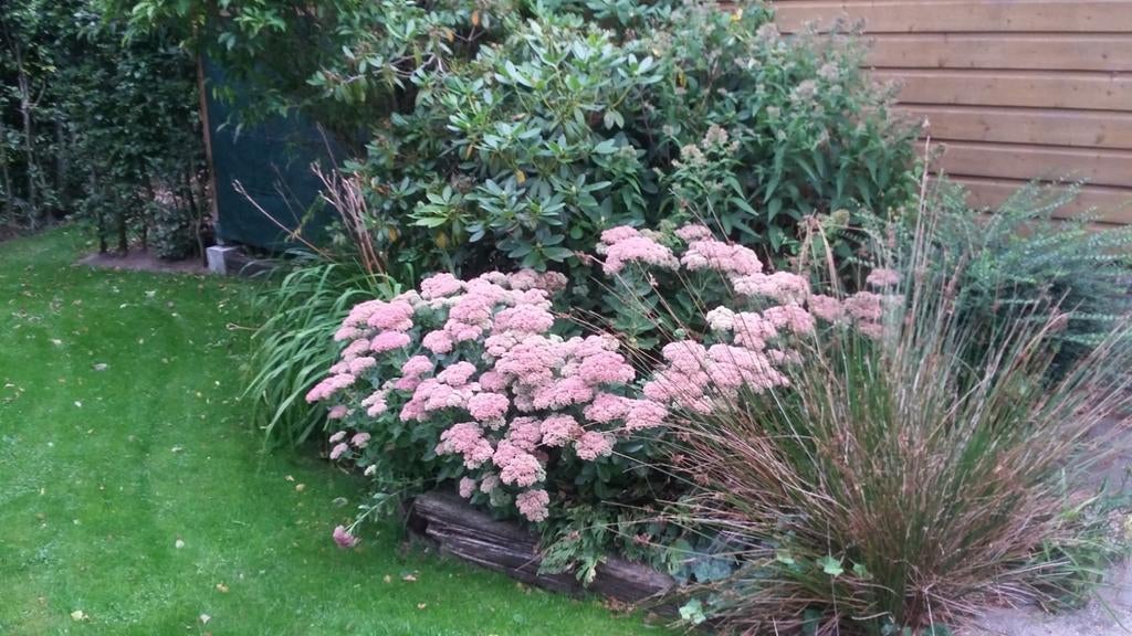 Tuinman/tuinvrouw, Diensten en Vakmensen, Tuinmannen en Stratenmakers