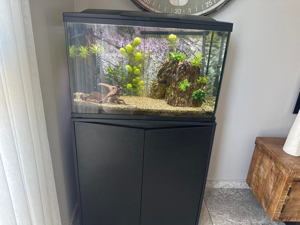 Aquarium met toebehoren, Dieren en Toebehoren, Vissen | Aquaria en Toebehoren, Ophalen