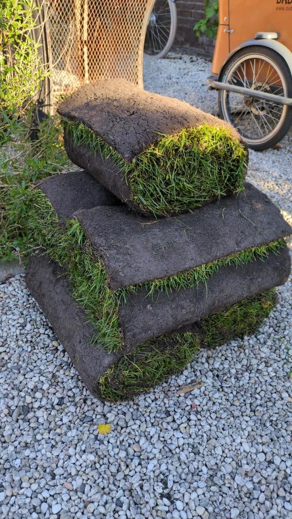 Gratis graszoden - kleine vergoeding voor spaarpot kinderen, Ophalen of Verzenden