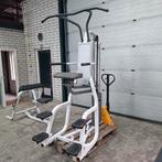 Nautilus Chin Dip Assist, Ophalen, Zo goed als nieuw, Overige typen