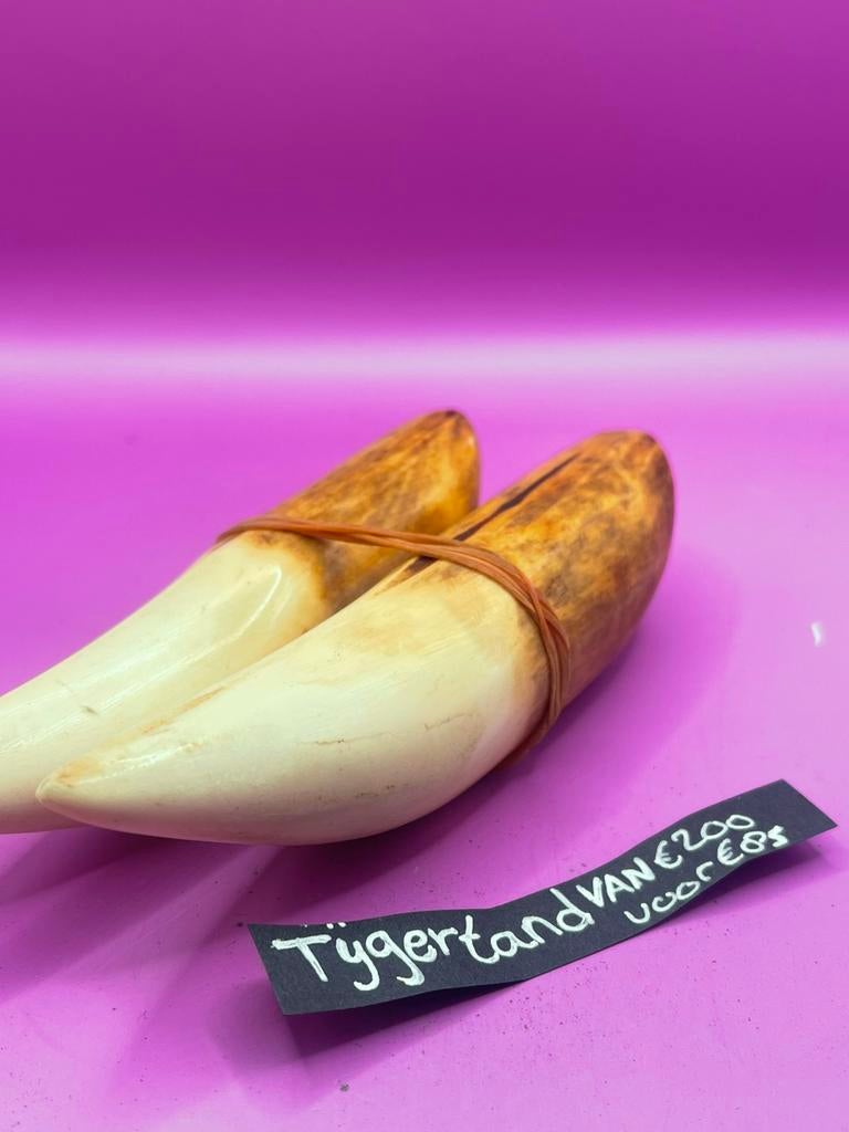 Tijgertanden - SALE, Ophalen of Verzenden