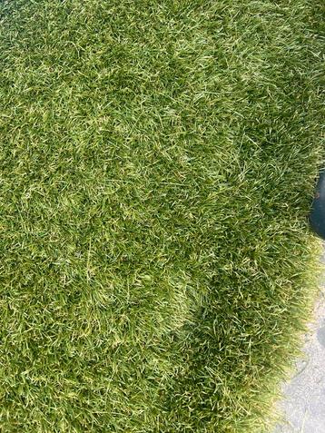 Nieuw Kunstgras - Fiore beschikbaar voor biedingen