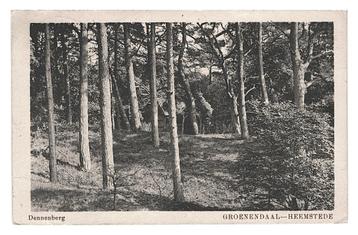 976538 Heemstede NH 1919 Groenensaal Dennenberg Gelopen beschikbaar voor biedingen