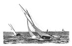 963754	Sneek	Sneekermeer	Zeilboot	1956	Gelopen met postzegel, Ophalen of Verzenden, 1940 tot 1960, Gelopen, Friesland