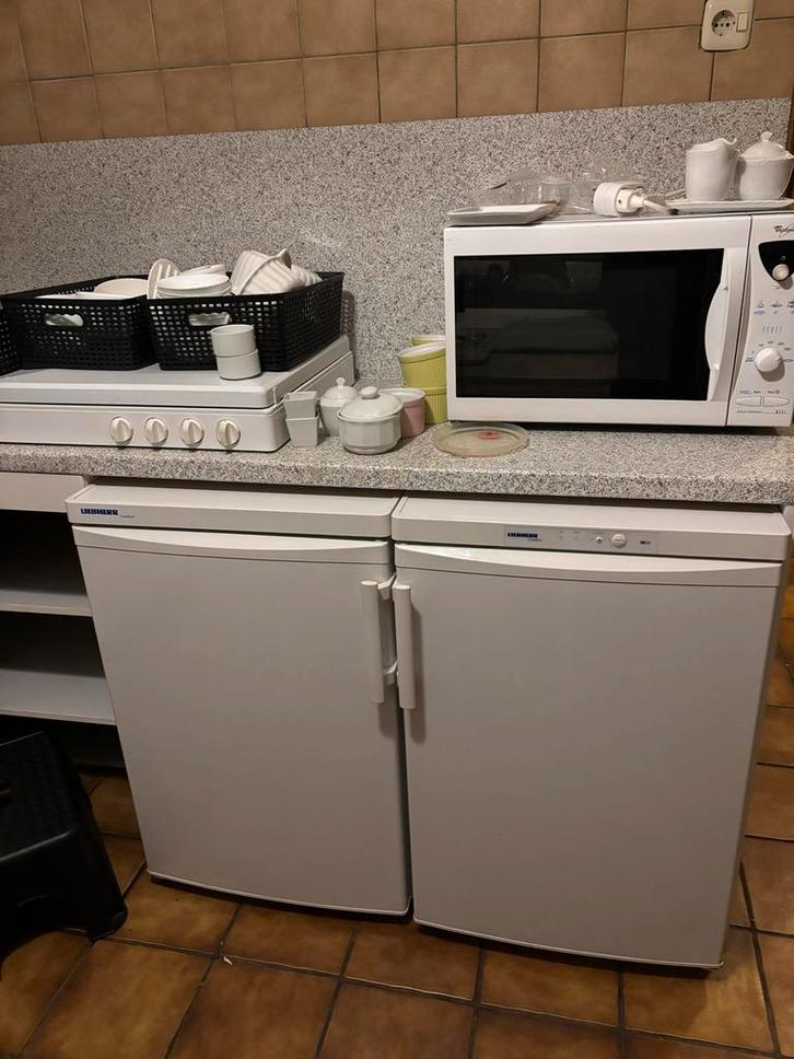 Liebherr Koelkast en Vriezer Tafelmodel - Vlaardingen, Witgoed en Apparatuur, Vriezers en Diepvrieskisten, Gebruikt, Ophalen of Verzenden