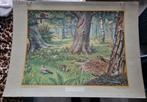 Dubbelzijdige vintage schoolplaat: in het Bosch, Ophalen of Verzenden, Natuur en Biologie