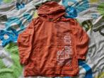 Oranje trui met capuchon, Ophalen of Verzenden, Zo goed als nieuw, Jongen of Meisje, Trui of Vest