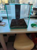 Glazen kubus aquarium 32x35x37cm event. met deksel en soil, Ophalen, Gebruikt, Leeg aquarium