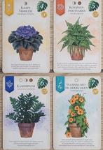 Verdant Bordspel - Familie - Tegelspel | Nieuw in doos, Hobby en Vrije tijd, Gezelschapsspellen | Bordspellen, White Goblin Games