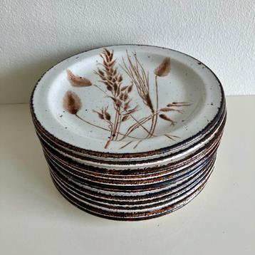 12 taartbordjes Wedgwood Midwinter Wild Oats beschikbaar voor biedingen