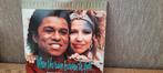 JERMAIN JACKSON&PIA ZADORA L.P Bieden, Cd's en Dvd's, Zo goed als nieuw, Ophalen