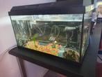Juwel aquarium, Dieren en Toebehoren, Vissen | Aquaria en Toebehoren, Ophalen
