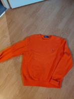 GAVE RALPH LAUREN TRUI MT L, Maat 42/44 (L), Oranje, Ophalen of Verzenden, Zo goed als nieuw