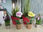 Diverse kunststof planten klein en groot, Ophalen, Gebruikt, Binnen