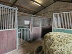 paardenboxen te huur, Dieren en Toebehoren, Stalling en Weidegang, Weidegang, 2 of 3 paarden of pony's