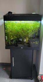 Lido 120 met kast, Dieren en Toebehoren, Vissen | Aquaria en Toebehoren, Ophalen of Verzenden, Leeg aquarium