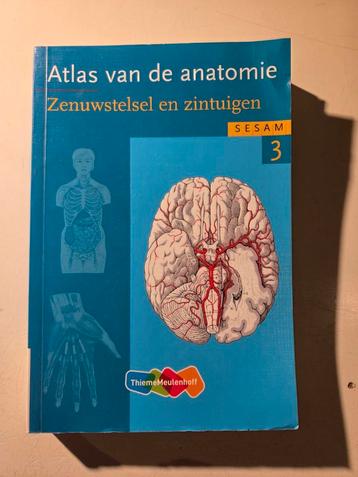 Werner Kahle - 3 Zenuwstelsel en zintuigen beschikbaar voor biedingen