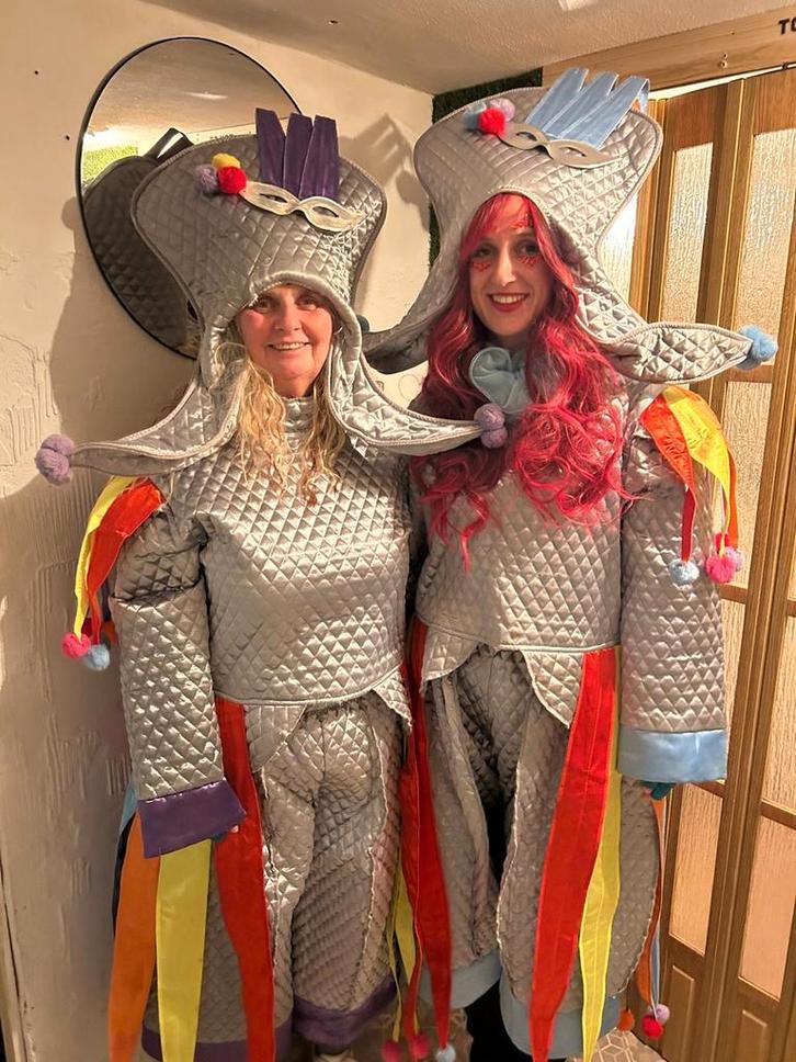 Unieke Carnavalspakken, Kleding | Dames, Carnavalskleding en Feestkleding, Zo goed als nieuw, Kleding, Carnaval, Maat 42/44 (L)