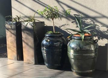 Grote 71cm geglazuurde groen blauw Toscaanse bloempotten beschikbaar voor biedingen