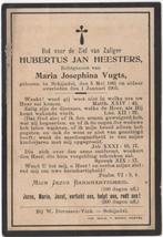 Hubertus Jan Heesters 1861 Schijndel + 1905 Schijndel, 43 jr, Verzenden, Bidprentje
