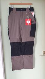 Strauss dames werkbroek maat 36, Verzenden, Nieuw, Dames, Broek