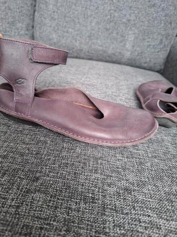 Aubergine loints of holland schoenen 38 beschikbaar voor biedingen
