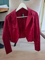 Jasje superstar bordeaux rood, Ophalen of Verzenden, Zo goed als nieuw, Maat 38/40 (M), Rood