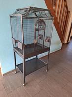 Montana Madeira I parkietenkooi, Dieren en Toebehoren, Ophalen, Zo goed als nieuw, Metaal, Vogelkooi