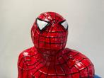 Spiderman beeld, Ophalen of Verzenden, Zo goed als nieuw, Mens