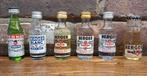 Miniatuur flesjes Pastis Berger Pernod, Ophalen of Verzenden, Zo goed als nieuw, Overige typen