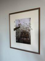 Schilderij Koolmees van Hennie van Dijk, Ophalen of Verzenden