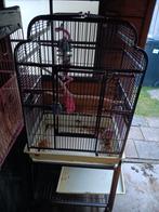 Vogelkooi, Dieren en Toebehoren, Vogels | Hokken en Kooien, Ophalen of Verzenden, Zo goed als nieuw, Metaal, Vogelkooi