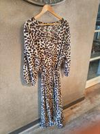 MS Mode Jurk Maat 52 - NIEUW, MS Mode, Ophalen of Verzenden, Nieuw, Maat 46/48 (XL) of groter