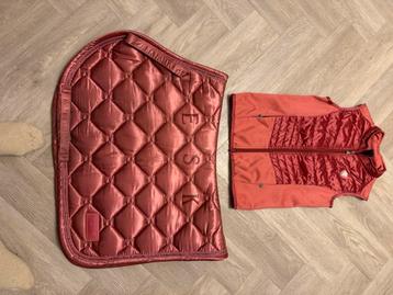 Pony dekje met zelfde kleur bodywarmer beschikbaar voor biedingen