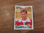 Panini EK 96, Ophalen of Verzenden, Zo goed als nieuw, Meerdere stickers