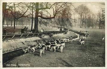 (381-071-009) Den Haag Hertenkamp beschikbaar voor biedingen