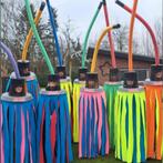 Carnavalskleding, loopgroep, dweilen/moppen, Kleding | Dames, Carnavalskleding en Feestkleding, Ophalen, Gedragen, Carnaval, Kleding