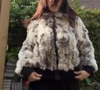 konijnenbont jas, Ophalen of Verzenden, Zo goed als nieuw, Maat 36 (S)