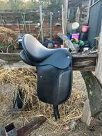 Norton dressuur, Dieren en Toebehoren, Ophalen of Verzenden, Zo goed als nieuw