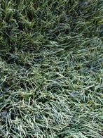 Volle rollen kunstgras 64x4 (256m2), Tuin en Terras, Gras en Kunstgras, Ophalen, Kunstgras, 2404ce, Zo goed als nieuw