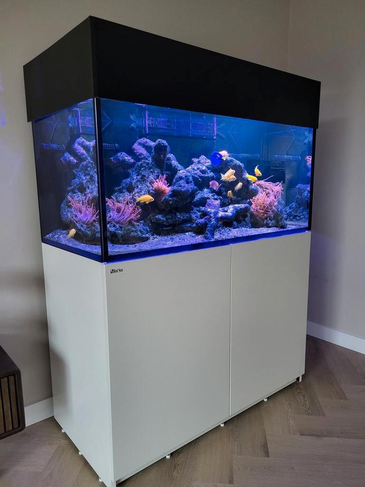 Zeeaquarium Red Sea Reefer 425 XL G2, compleet, Dieren en Toebehoren, Vissen | Aquaria en Toebehoren, Gebruikt, Gevuld zeewateraquarium