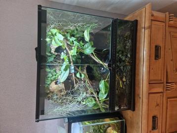 Exoterra draaiend paludarium  beschikbaar voor biedingen