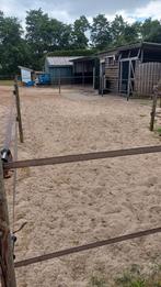 Paddockstalling shetlander., Dieren en Toebehoren, Stalling en Weidegang