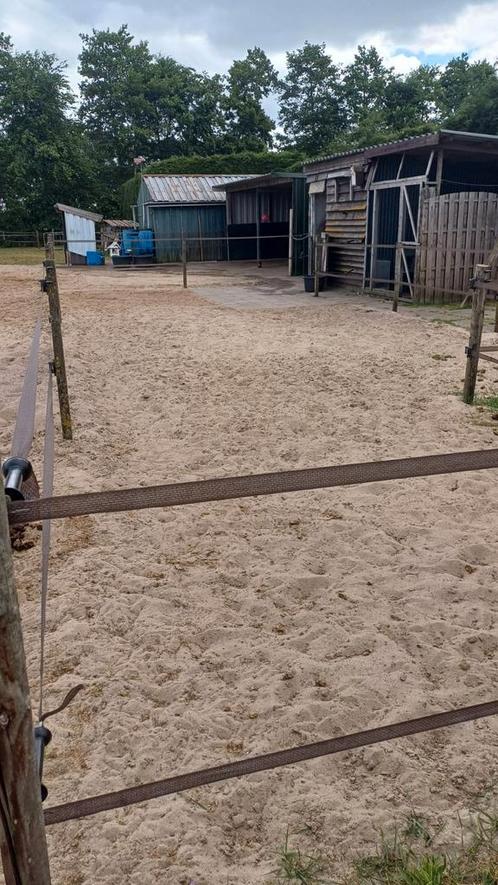 Paddockstalling shetlander., Dieren en Toebehoren, Stalling en Weidegang