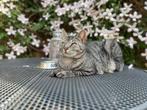 Gezocht Gouden mand voor Mo en Fritz, Dieren en Toebehoren, Katten en Kittens | Overige Katten, Meerdere dieren, Kortharig, 0 tot 2 jaar