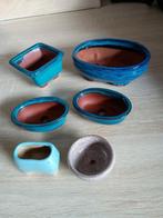 Bonsai bakjes plus een kleine Pagode, Ophalen of Verzenden, Nieuw