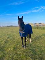 Lemieux mesh vliegendeken, Dieren en Toebehoren, Ophalen of Verzenden, Zo goed als nieuw