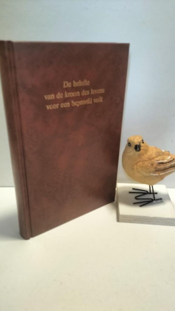 Noort, Ds. G.J. Van den; De belofte van de kroon des levens, Boeken, Godsdienst en Theologie, Ophalen of Verzenden, Gelezen, Christendom | Protestants