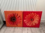 gratis 2 schilderijtes bloemen rood en oranje, Ophalen, Gebruikt, Print, Minder dan 50 cm